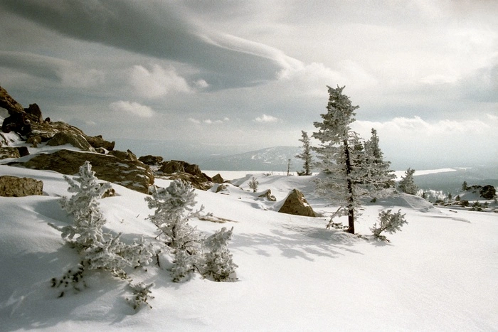 Раскрыта причина гибели группы Дятлова