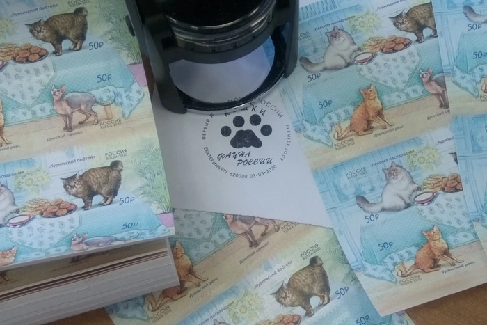 «У меня лапки». Почтовые марки «Кошки» поступили на Главпочтамт