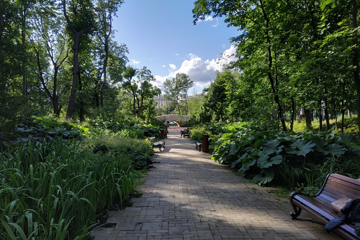 Вход в Ботанический сад Екатеринбурга станет платным