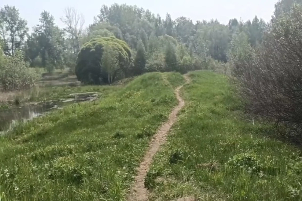 Жители Эльмаша пожаловались на мото- и квадроциклистов, заполонивших местный парк
