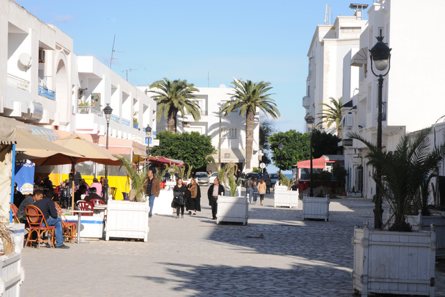 Россияне смогут приезжать в Тунис без виз на три месяца