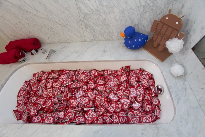 Британская студентка потребовала от Nestle пожизненного снабжения шоколадом