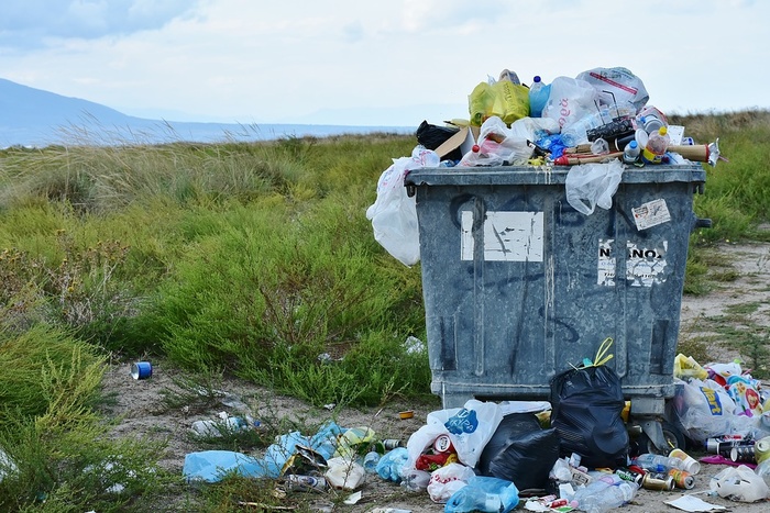 Большинство россиян не хотят разделять домашний мусор