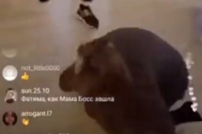 В прямом эфире блогерши из Дагестана избили женщину