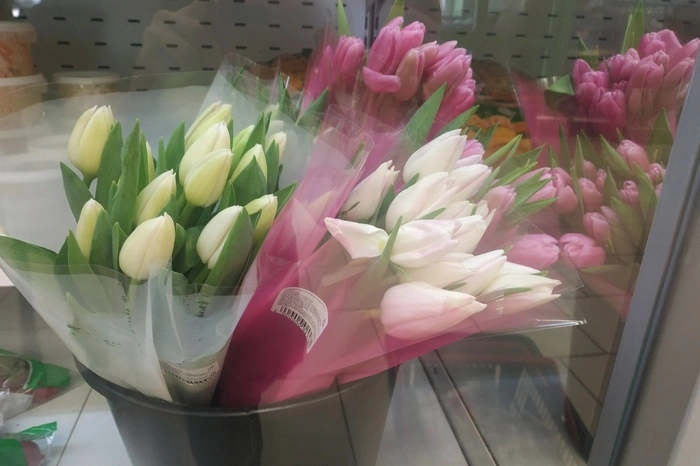 Задержан житель Новой Москвы, который похитил тюльпаны на 2 млн рублей