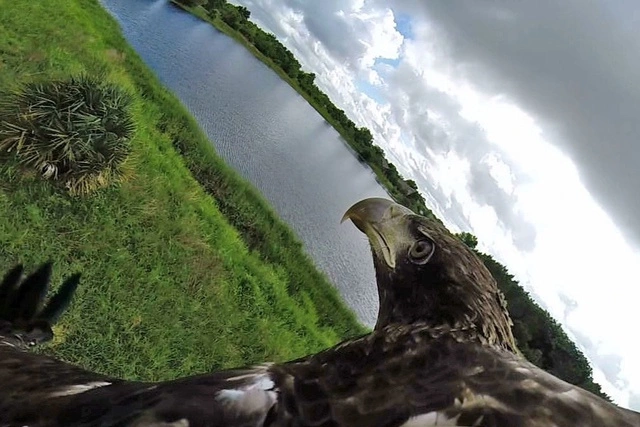 Травмы Михаэля Шумахера связывают с видеокамерой на шлеме