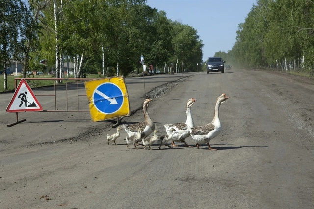 Облкоммунэнерго починит трубопровод в Патрушах новаторским методом