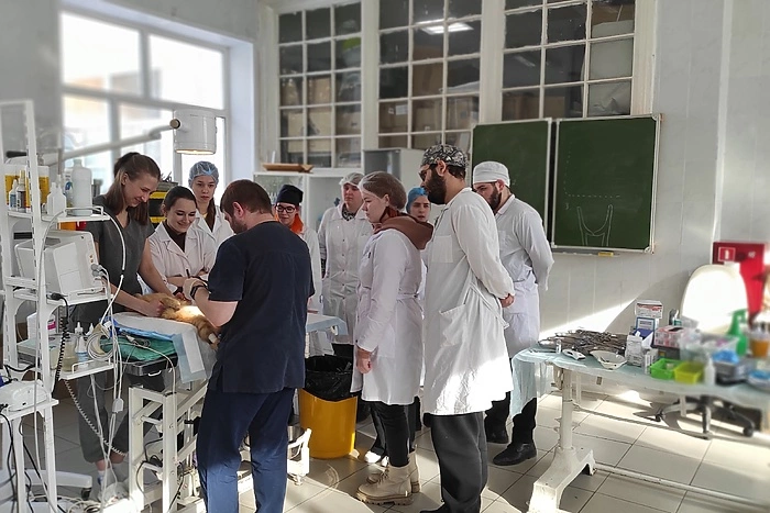 УрГАУ открывает запись на бесплатную стерилизацию домашних животных. Но не для всех