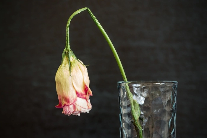 Раскрыта причина эпидемии хронической усталости