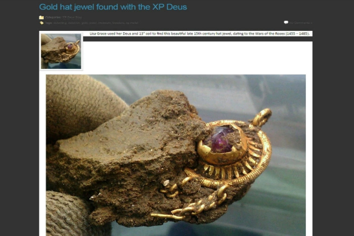 Кладоискательница нашла бесценное украшение средневекового короля среди поля