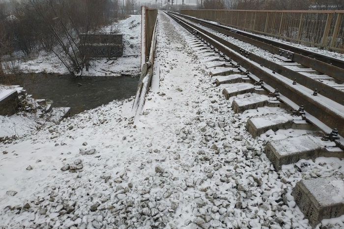 «Машина дров — 8 тысяч, а собака — всего четыре». О приоритетах городской власти