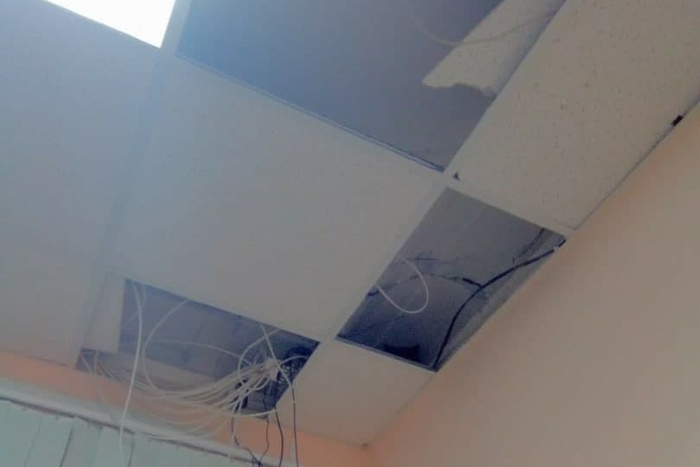 В Екатеринбурге кот пробил потолок ветеринарного кабинета