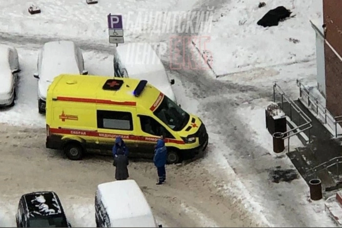 На Базовом переулке нашли труп