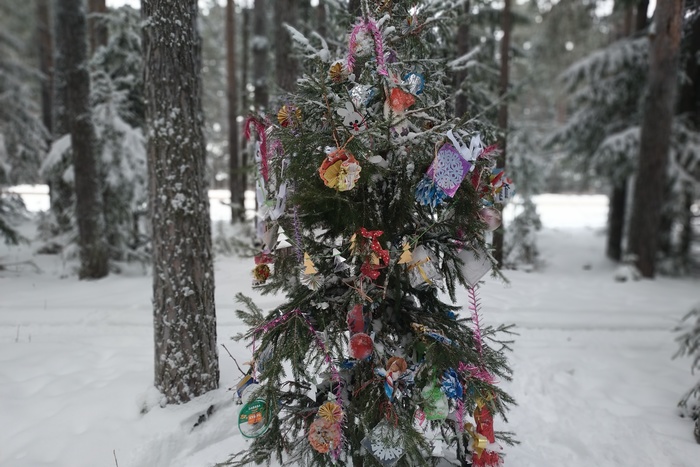 Екатеринбуржцы не торопятся выкидывать новогодние елки