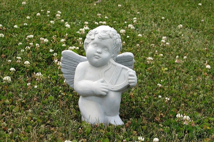 И на кладбище своя жизнь. Похоронщики наблюдают за гнездом с птенцами на закрытом кладбище в Серове