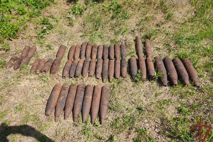 Свердловчане нашли полсотни боеприпасов в лесу