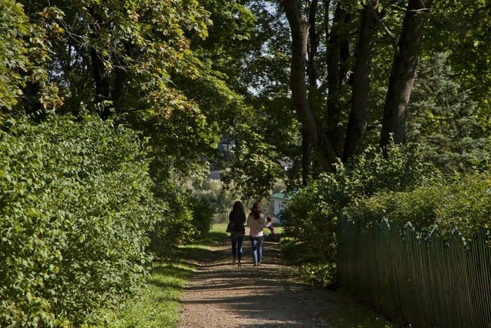 В Екатеринбурге приступили к вырубке деревьев в парке Коммунаров