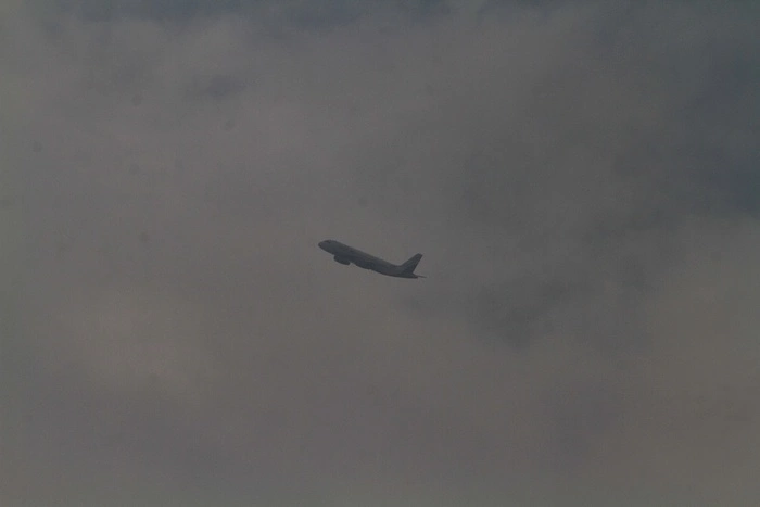 Осужден петербуржец, который пытался открыть в небе дверь самолета из Кольцово