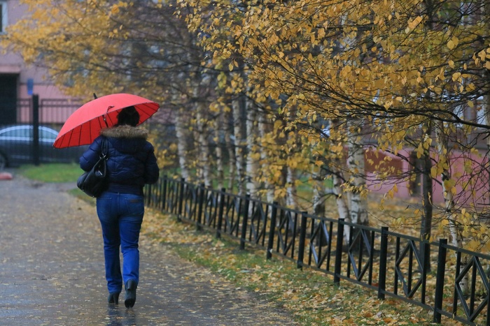 Выходные в Екатеринбурге будут холодными и дождливыми