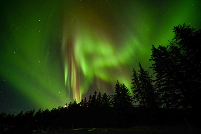 Новая версия гибели группы Дятлова: редкая северная болезнь «мерячка»