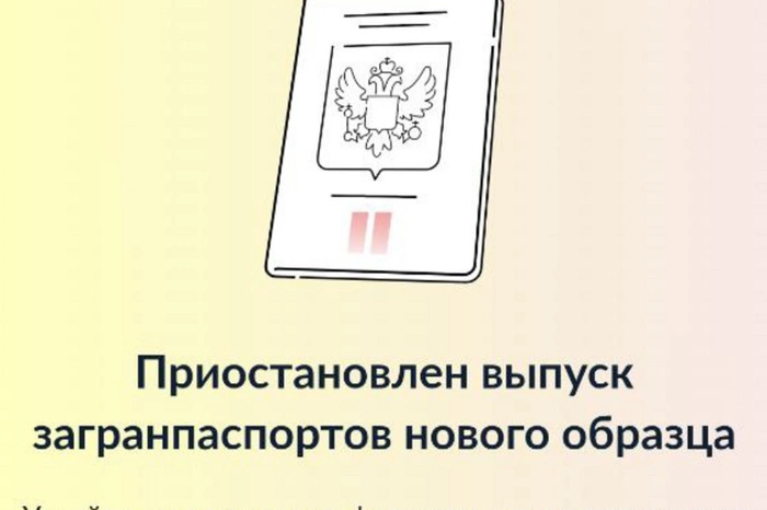 Россиянам приостановили выдачу загранпаспортов на «Госуслугах»