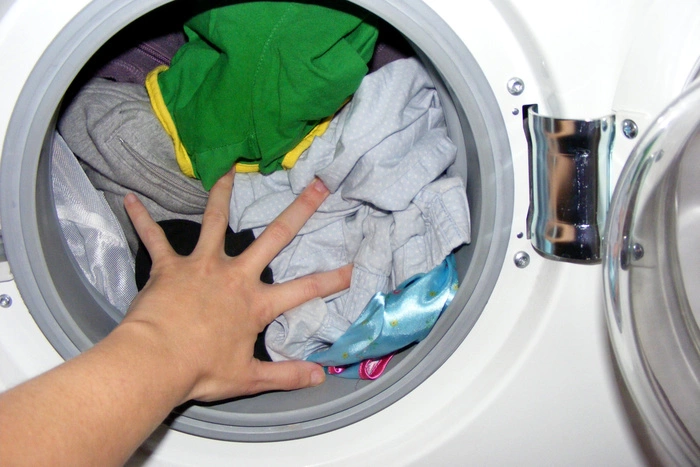 Живодёр попал под следствие за зверское убийство кота стиркой в машине