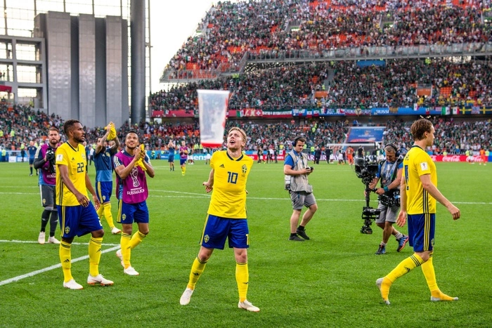 В МВД рассказали о группировках, готовивших атаки во время ЧМ-2018