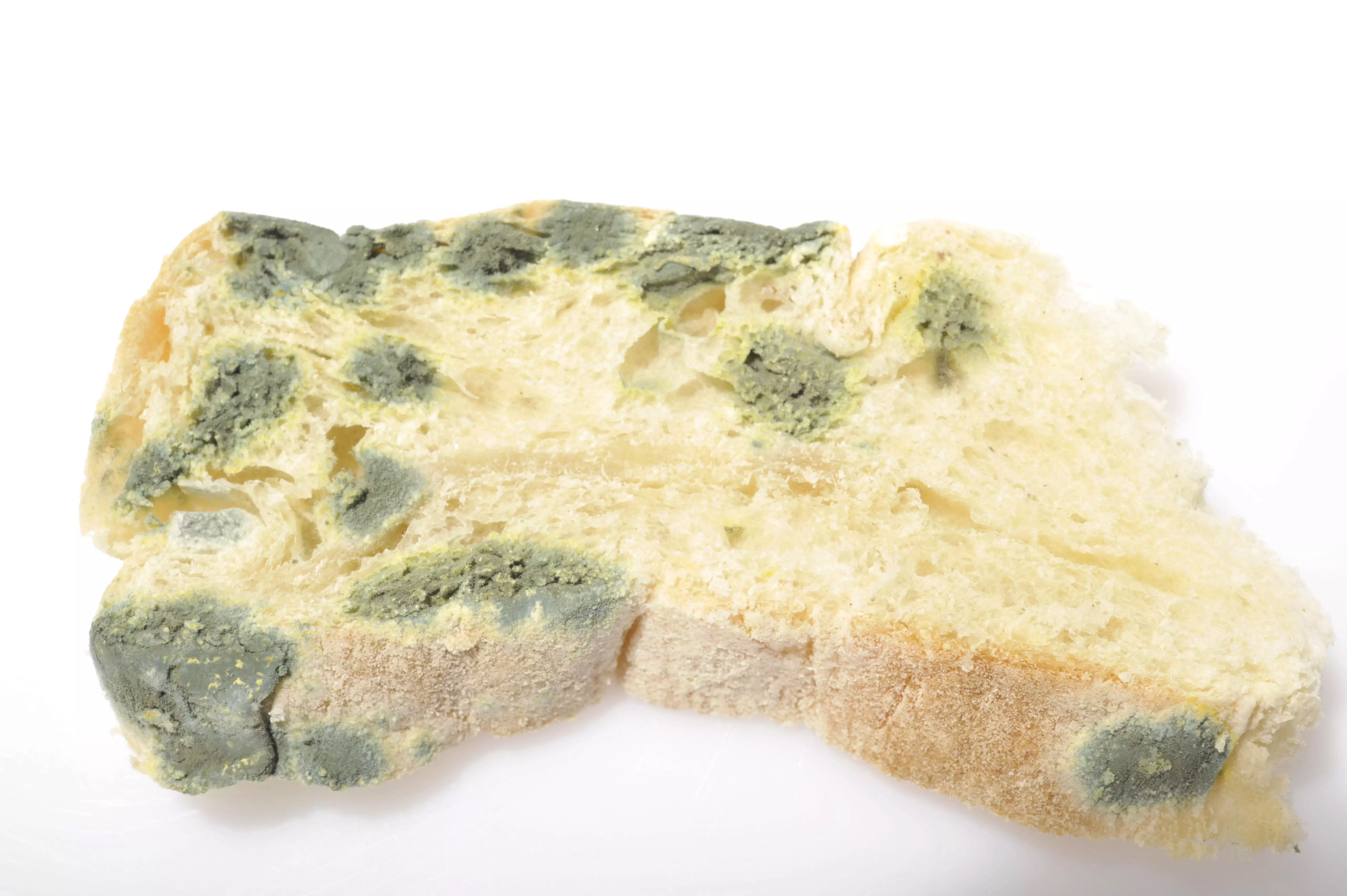 Мать московской девочки-«маугли» оказалась невменяемой