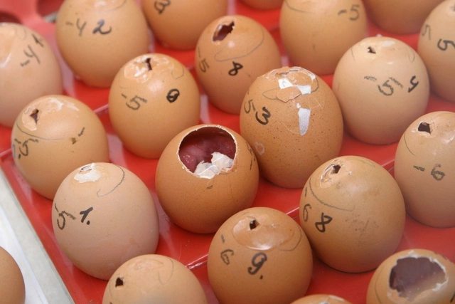 СМИ: В 19-м военном городке могут возобновить военно-медицинское производство