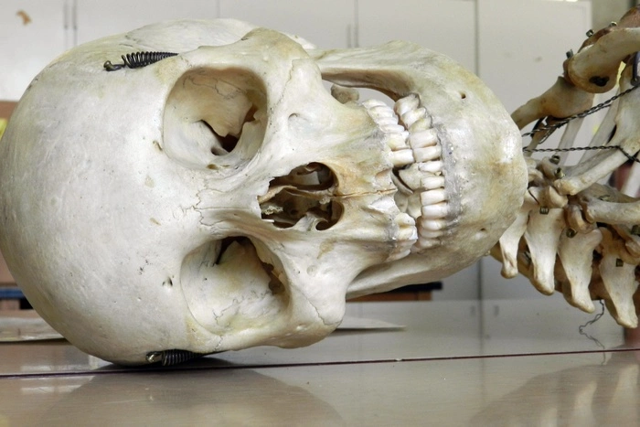 В московском онкоцентре нашли несколько неопознанных тел