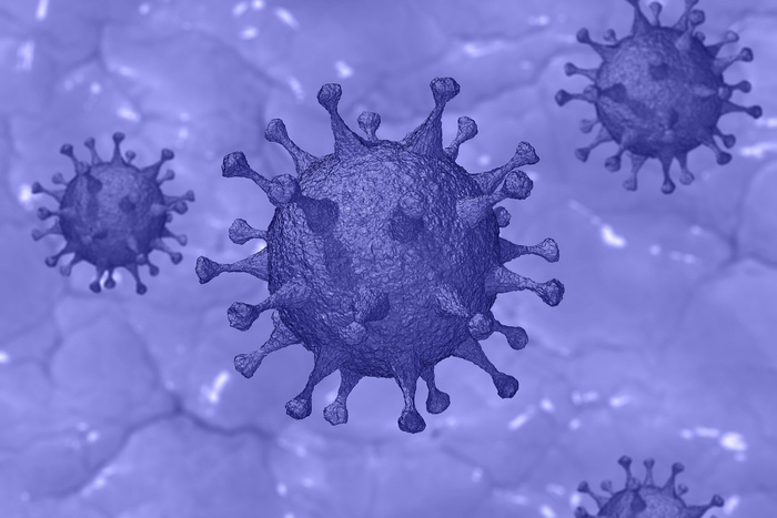 У коронавируса и «испанки» нашли общие черты