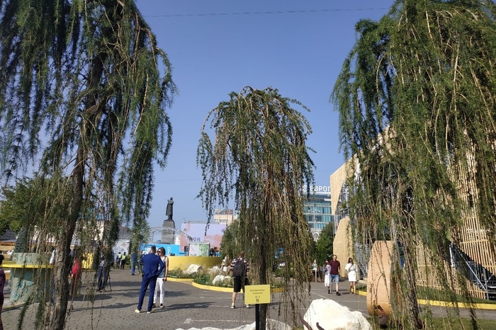 В мэрии Екатеринбурга рассказали, где оказались деревья с фестиваля «Атмосфера»