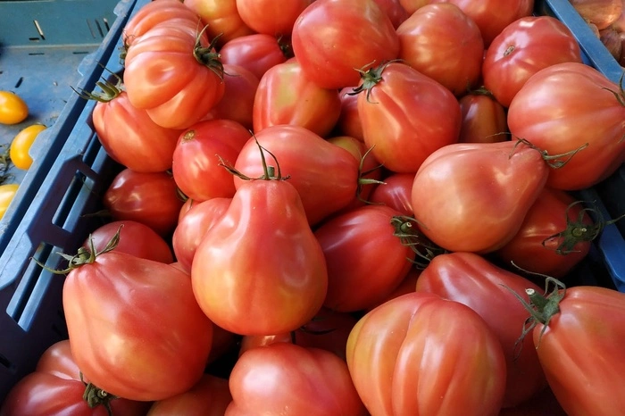 «Ярмарка, 13-я». Последняя в этом сезоне сельхозярмарка пройдет в выходные в центре Екатеринбурга