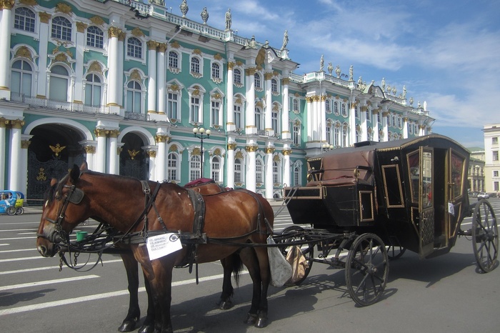 В Петербурге произошла авария с участием кареты с лошадьми