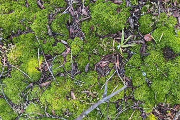 На Урале произошло землетрясение