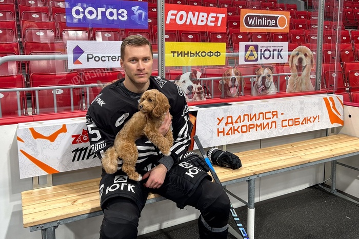 Челябинские хоккеисты будут отправлять в приют 10 кг корма за каждую штрафную минуту