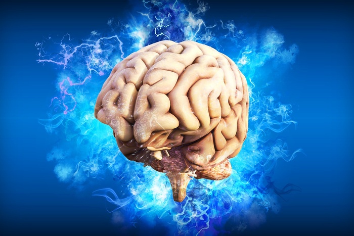Ученые узнали, какие продукты любит мозг