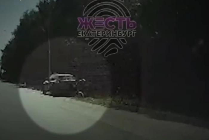 В Екатеринбурге затравили блогера, «бившего собаку молотком»