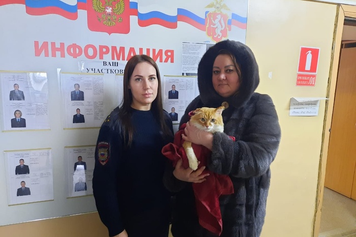 Зоозащитники забрали кота, над которым издевался свердловский блогер