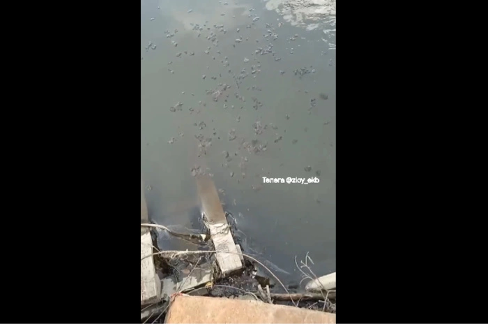 Екатеринбуржцы засняли стекающую вниз по Исети подозрительную субстанцию