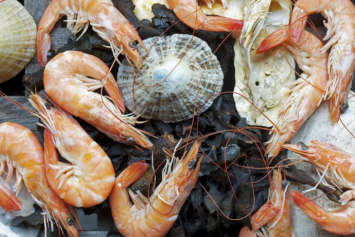 Медики: Любители морепродуктов живут дольше, чем мясоеды