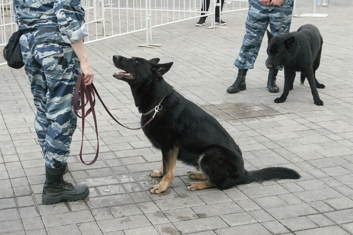 Стали известны жуткие подробности жизни убийцы девочки из Каменска-Уральского