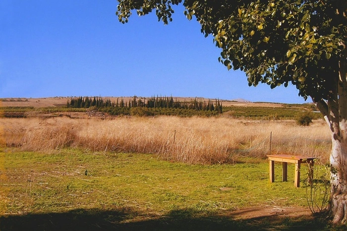 Сильная жара в Канаде унесла жизни уже 17 человек