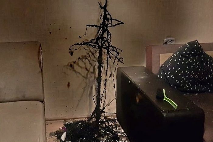 В Нижнем Тагиле в одной из квартир полностью сгорела ёлка