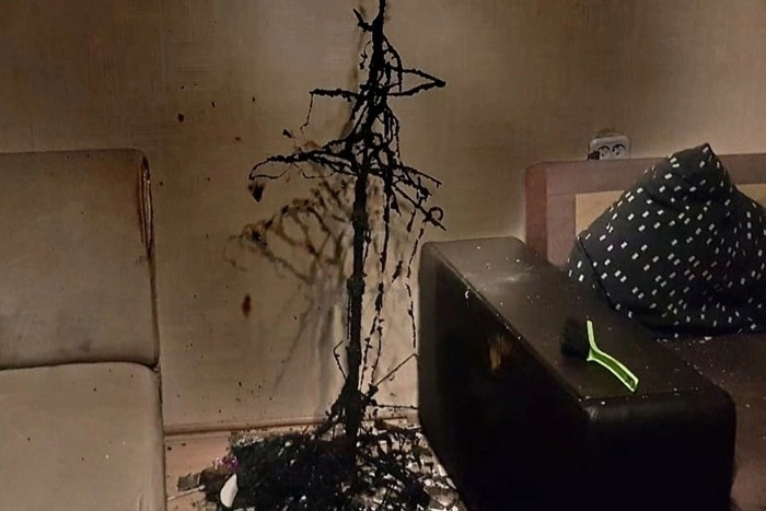В Нижнем Тагиле в одной из квартир полностью сгорела ёлка