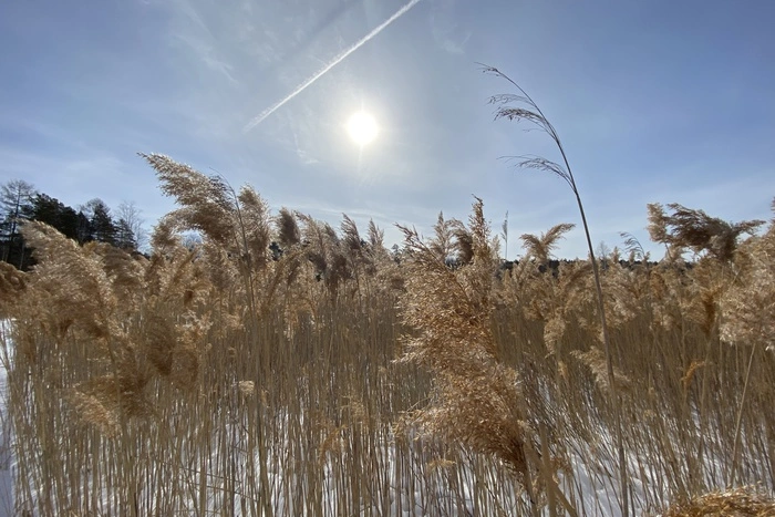 В Свердловскую область пришла весна