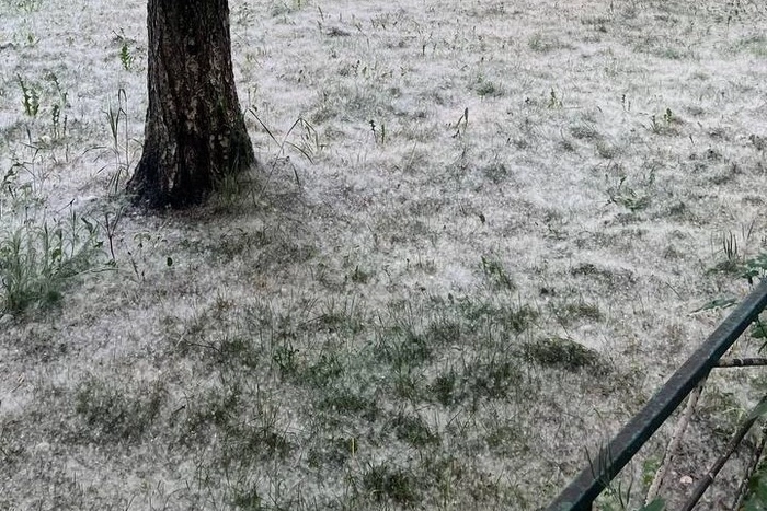 В Екатеринбурге дети массово поджигают тополиный пух