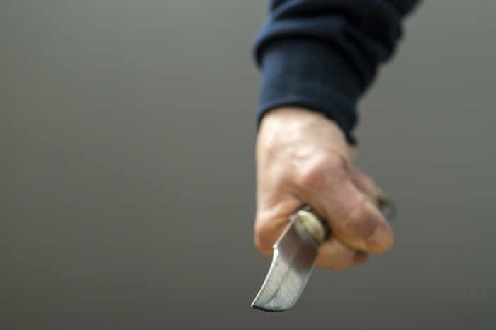 В Екатеринбурге ребенок спас свою мать от отчима, который пытался её убить