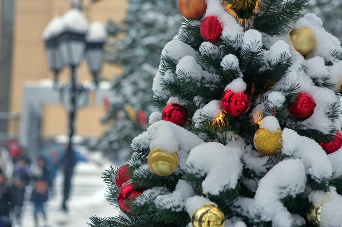 Синоптики пообещали морозное начало года в Екатеринбурге