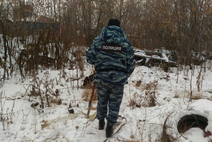 В Свердловской области пропала школьница